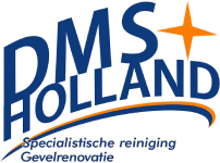 DMS Holland - Logo Klein gekleurd